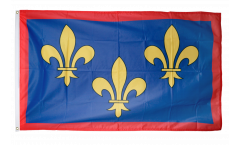 Bandiera Francia Anjou Angiò