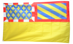 Bandiera Francia Côte-d'Or