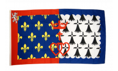 Bandiera Francia Loira