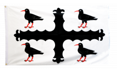 Bandiera Regno Unito Flintshire