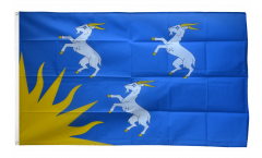 Bandiera Regno Unito Merionethshire