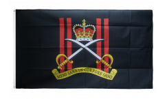 Bandiera Regno Unito Royal Army Physical Training Corps