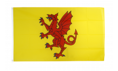 Bandiera Regno Unito Somerset nuovo
