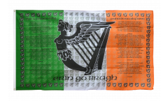 Bandiera Irlanda Ireland Soldiers