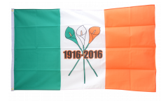 Bandiera Irlanda Rivolta di Pasqua 1916-2016