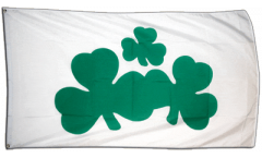 Bandiera Irlanda Shamrock