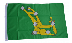 Bandiera Irlanda Starry Plough verde 1916-1934