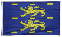 Bandiera Paesi Bassi Frisia-occidentale
