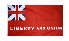 Bandiera USA Liberty and Union Taunton
