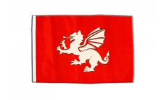 Bandiera Inghilterra drago bianco con orlo