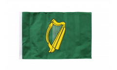 Bandiera Irlanda Leinster con orlo