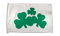 Bandiera Irlanda Shamrock con orlo