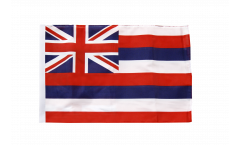 Bandiera USA Hawaii con orlo