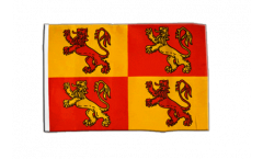 Bandiera Owain Glyndwr Galles reale con orlo
