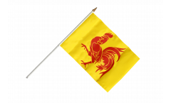 Bandiera da asta Belgio Vallonia