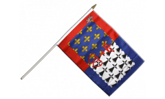 Bandiera da asta Francia Loira